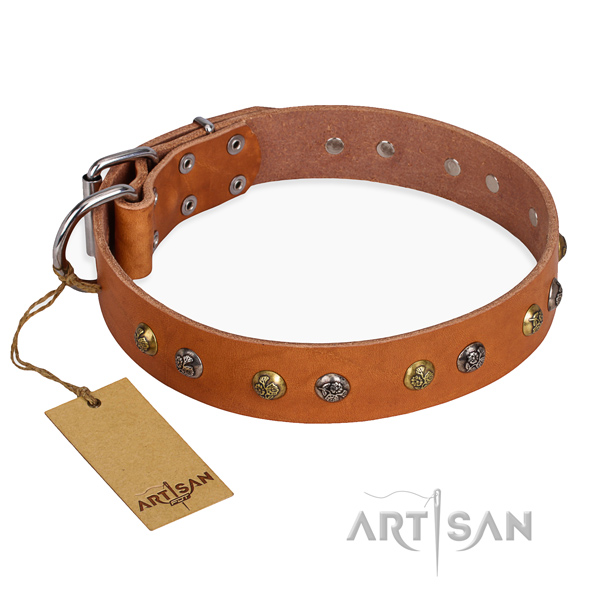 Walking fashionable dog collar with rust resistant buckle