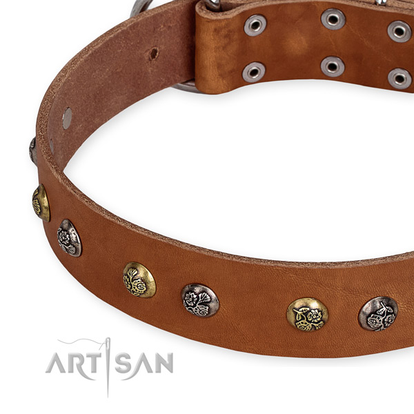 Full grain genuine leather dog collar with unusual reliable decorations