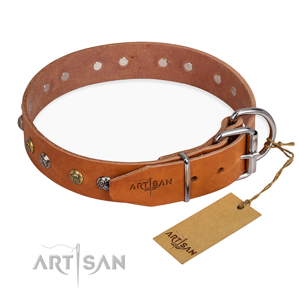 Top notch genuine leather dog collar made for everyday walking