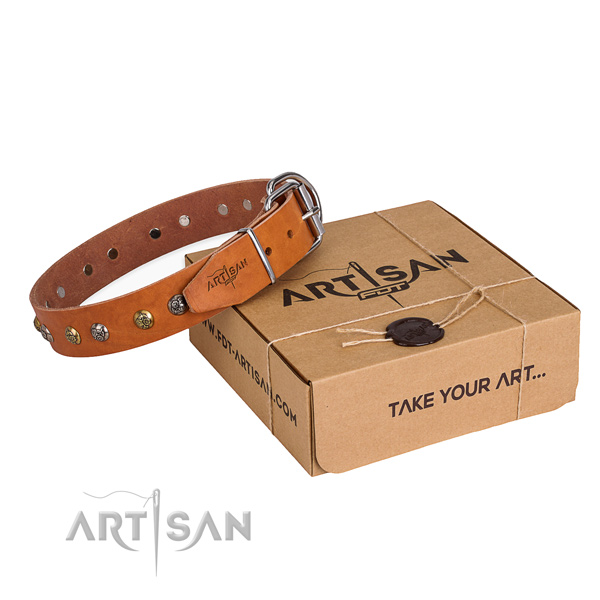 Everyday walking dog collar with Impressive rust-proof embellishments