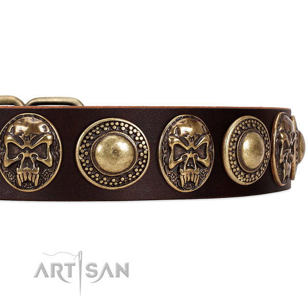 Full grain genuine leather dog collar with adornments for easy wearing