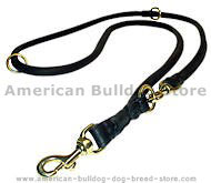 Police MultiFunctional Leather Dog Leash - 1/5"