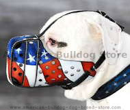 Patriotic Leather Dog Muzzle for American Bulldog