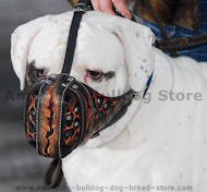Hand painted by our artists leather Muzzle "Dondi" Plus