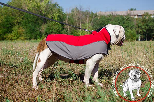 American Bulldog Nylon Coat with Hole for Leash