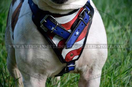 american pride harness