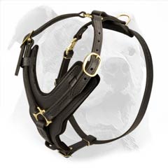 Carefully crafted Bulldog training harness