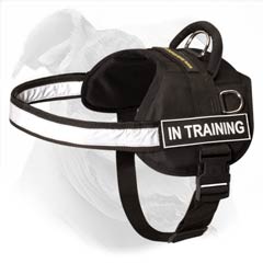 best dog harness to stop pulling