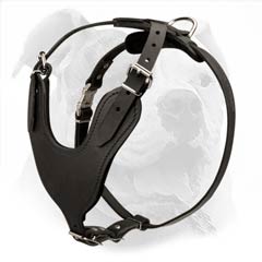 True leather agitation harness