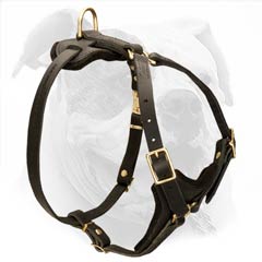 Easy quick release buckle saves your time when harnessing your Bulldog