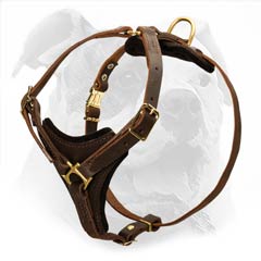 American Bulldog leather harness