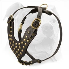 High Quality American Bulldog Leather Harness for Daily Walks