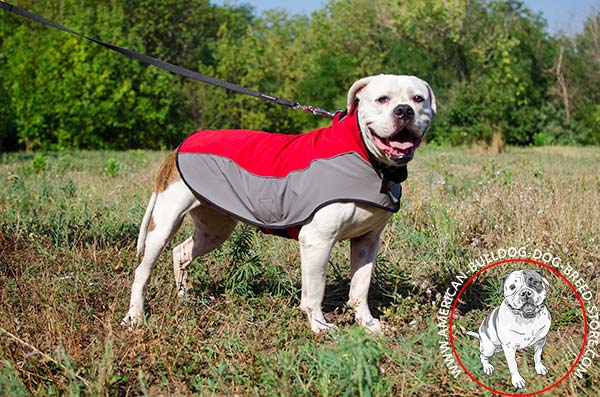 American Bulldog nylon harness water-windproof fabric for daily walks