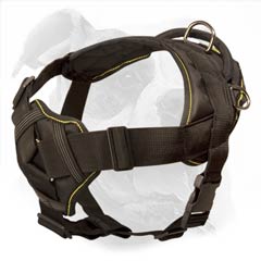 Best harness for American Bulldog's pulling activity