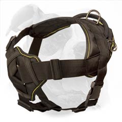 nylon dog harness