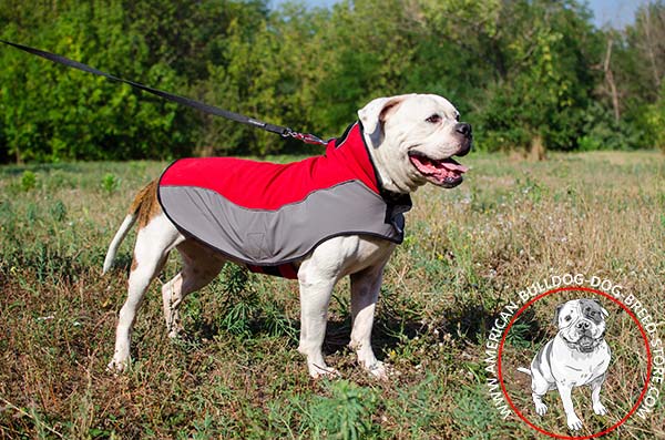  Nylon American Bulldog Winter Coat