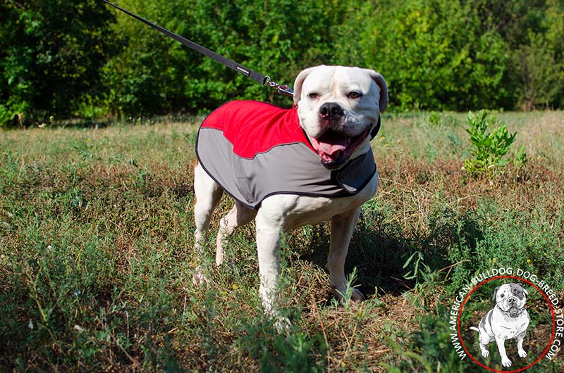 Anti Cold American Bulldog Coat