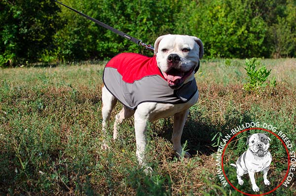 Warm  American Bulldog Coat of Strong Nylon Material