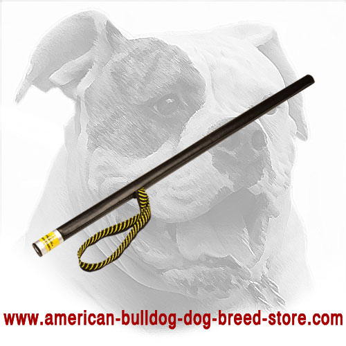 Training Dog Stick for American Bulldog - Click Image to Close