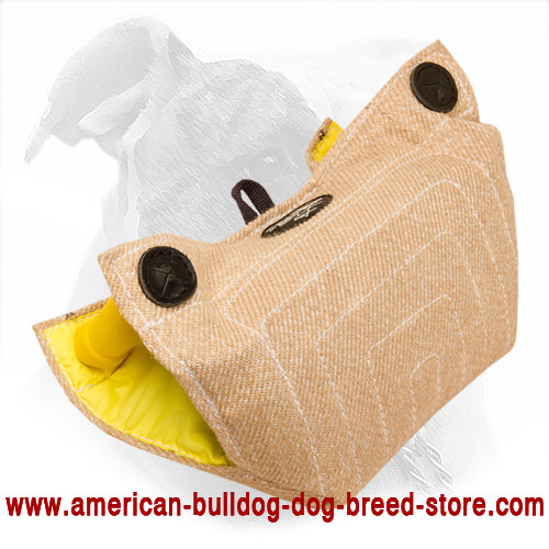 American Bulldog Bite Developer Made of Jute
