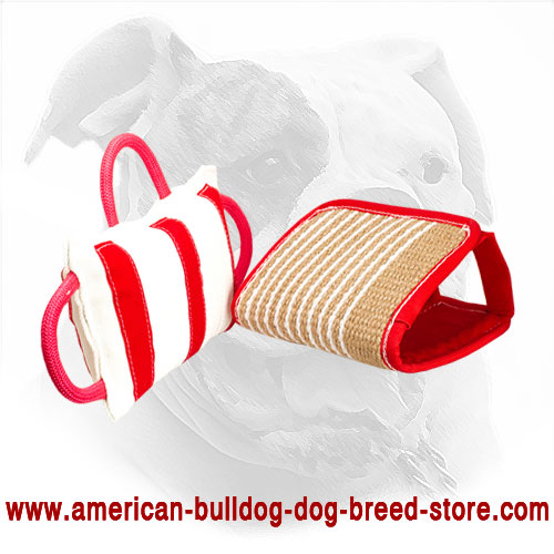 American Bulldog Bite Pillow with Jute Cover - Click Image to Close