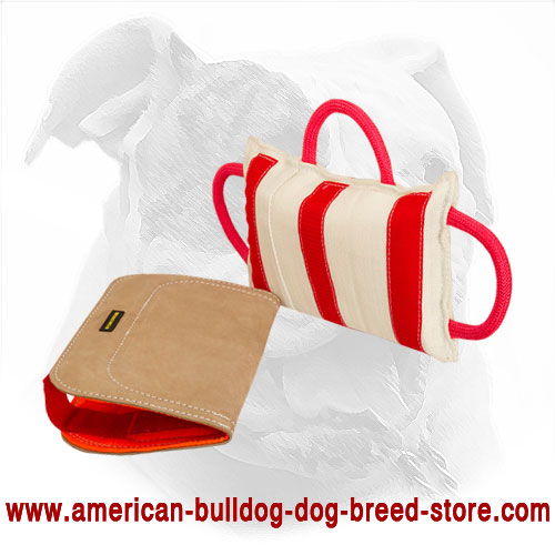 American Bulldog Bite Pillow with Leather Cover