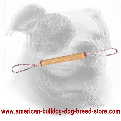 Training Dog Bite Roll for American Bulldog Puppy
