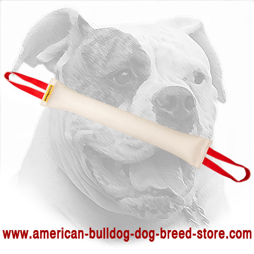 American Bulldog Bite Tug Made of Fire Hose