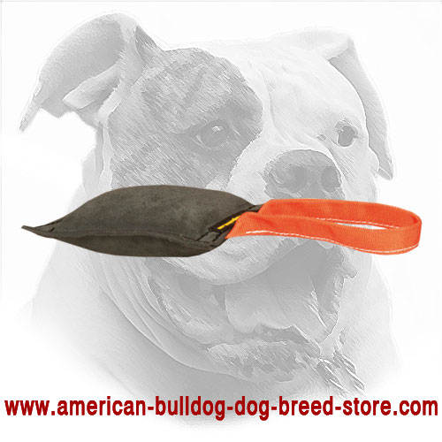 American Bulldog Bite Tug with Stitched Handle