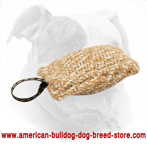 Jute Dog Bite Tug for American Bulldog Puppy