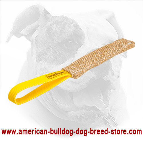 American Bulldog Bite Tug Made of Jute for Puppy Training