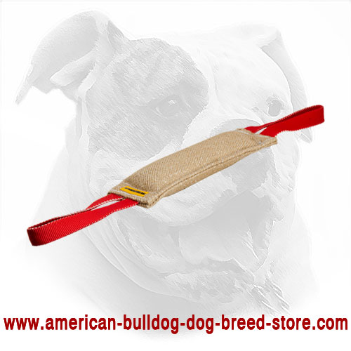 American Bulldog Bite Tug Equipped with Handles