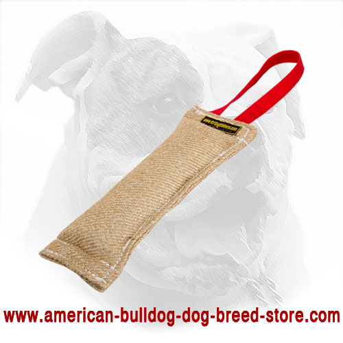 American Bulldog Bite Tug for Puppy Training