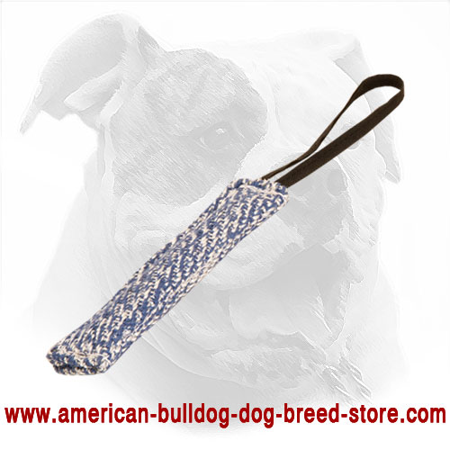 American Bulldog Bite Tug Equipped with One Handle