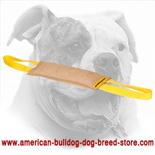 American Bulldog Bite Tug for Bite Training