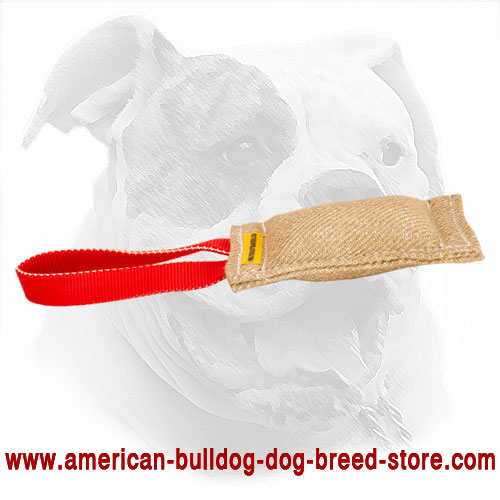 Jute Dog Bite Tug for American Bulldog Puppy