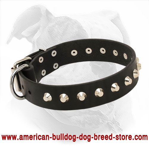 Decorated Leather Dog Collar for American Bulldog