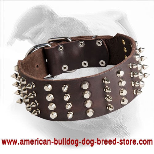 American Bulldog Leather Collar with Spikes and Studs