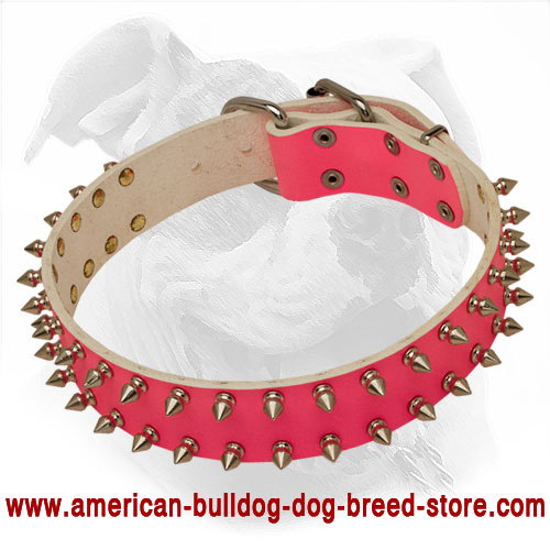 spiked dog leash