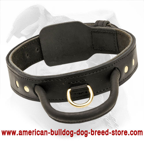 Rolled Leather Dog Leash 4 foot Round for Rottweiler