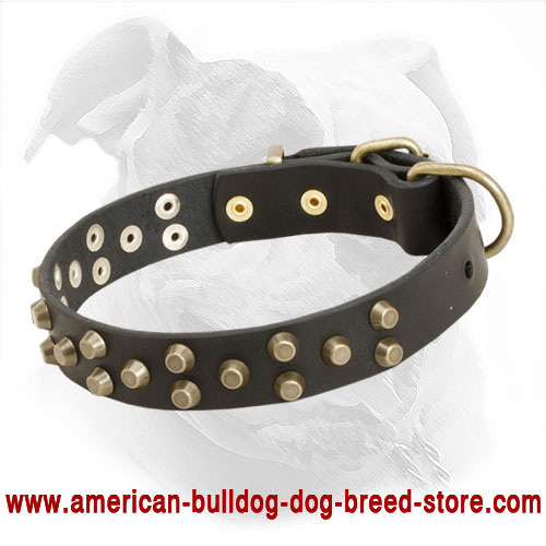 Leather Dog Collar with Pyramids for American Bulldog