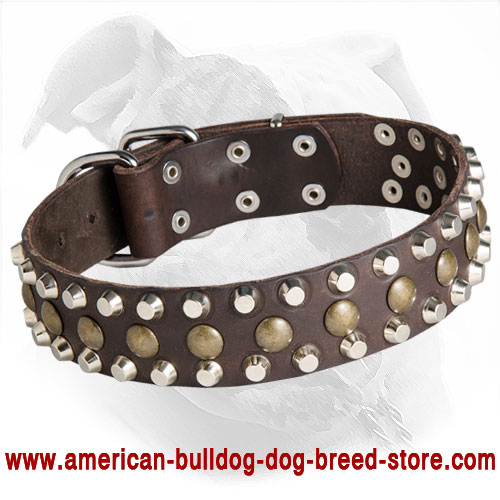 Leather American Bulldog Collar with Studs and Pyramids