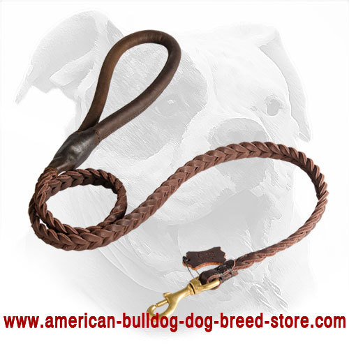 Braided Leather Dog Leash for American Bulldog