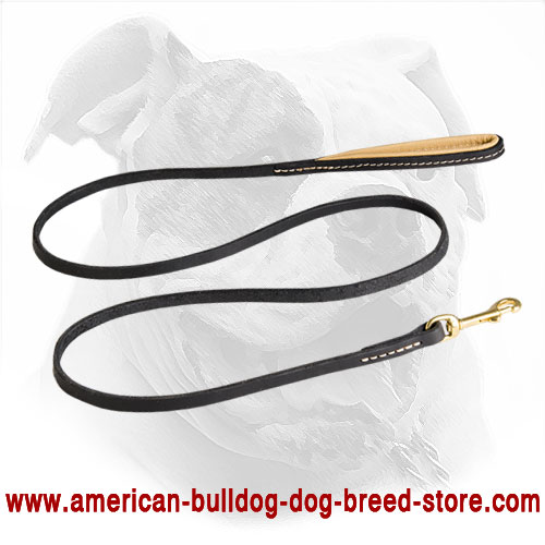 Durable Leather Dog Leash for American Bulldog Training