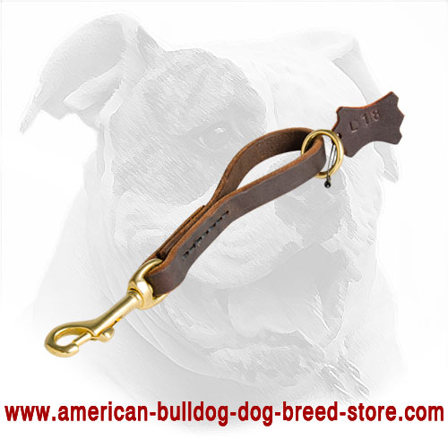 Leather Pull Tab Leash for American Bulldog