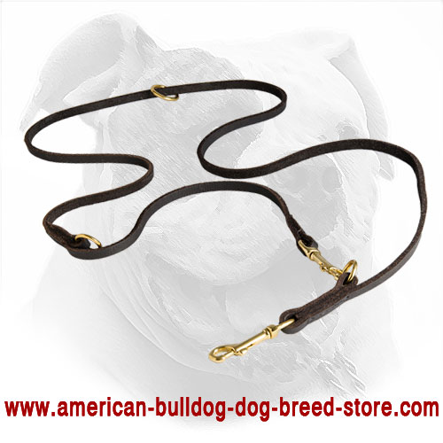 American Bulldog Leash Made of Soft Leather