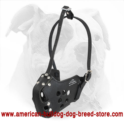 American Bulldog Leather Muzzle for Agitation Training