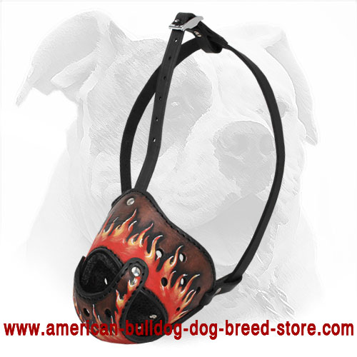 Handpainted Leather Dog Muzzle for American Bulldog