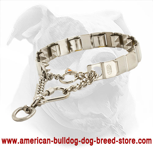 Stainless Neck Tech Prong Dog Collar for American Bulldog