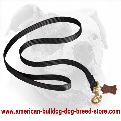 All Weather Nylon Dog Leash for American Bulldog - Click Image to Close